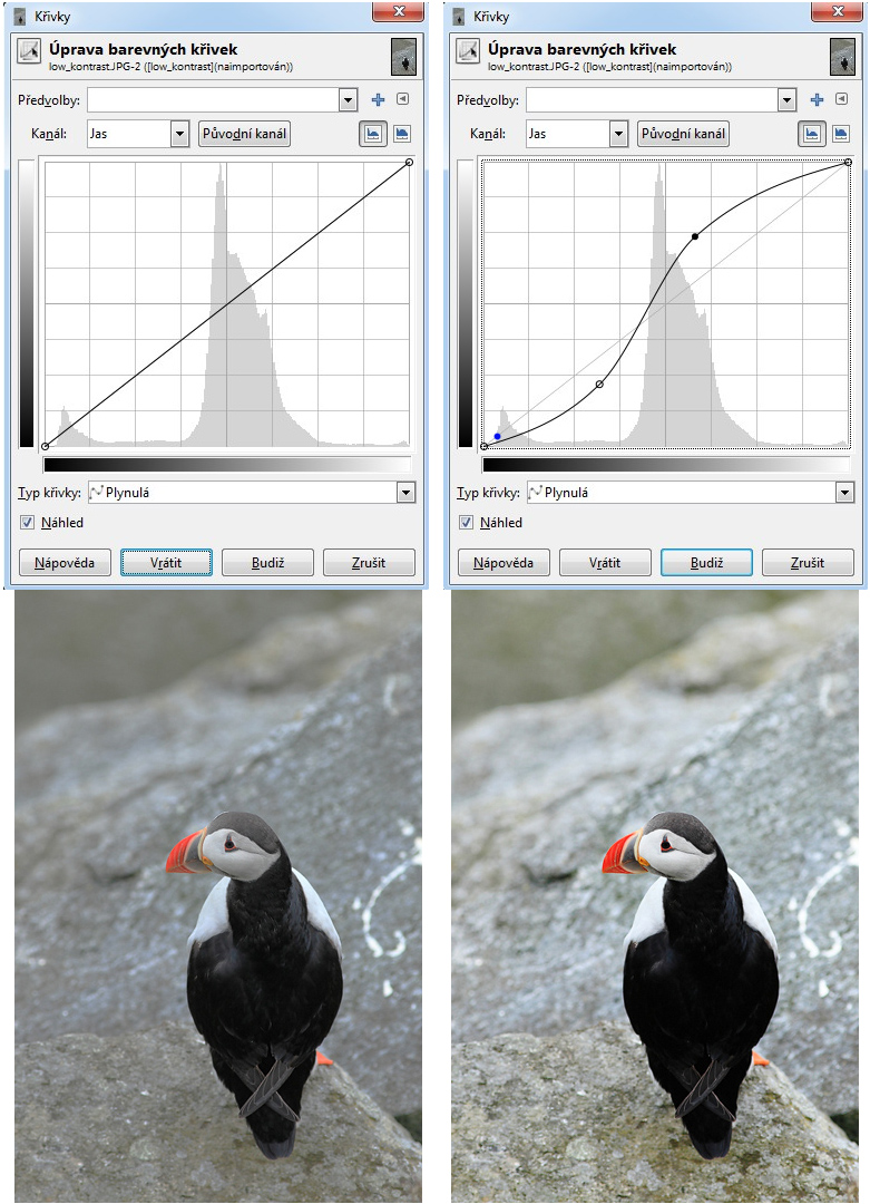 Okno nástroje <i>Křivky</i> v aplikaci Gimp (vlevo nahoře), tvar křivky pro aplikování zvýšení kontrastu (vpravo nahoře), fotografie s nízkým kontrastem (vlevo dole), totožná fotografie po aplikování nástroje křivky s nastavením dle obrázku vpravo nahoře (vpravo dole)